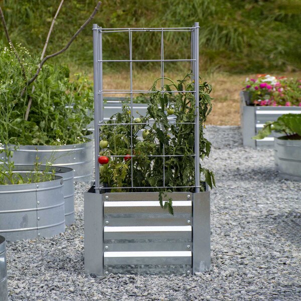 Galvanized Steel Raised Garden Bed